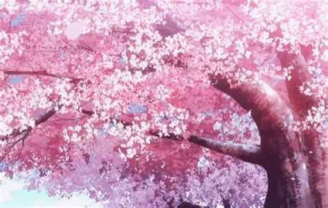 Explore and share the best Pink-blossom GIFs and most popular animated GIFs here on GIPHY. Find Funny GIFs, Cute GIFs, Reaction GIFs and more. 